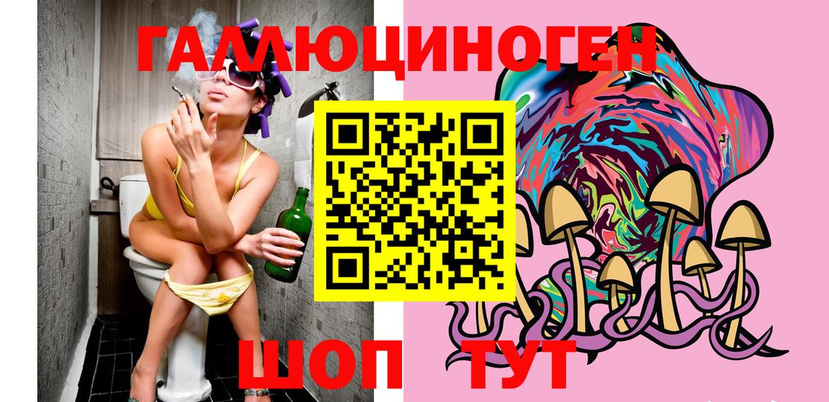 Псилоцибиновые грибы Psilocybe Красноуфимск