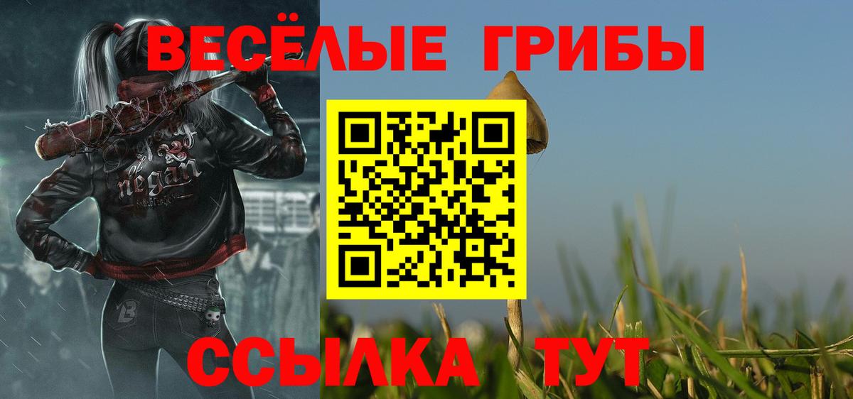 Красноуфимск  Галлюциногенные грибы Psilocybine cubensis  Вход с VPN 